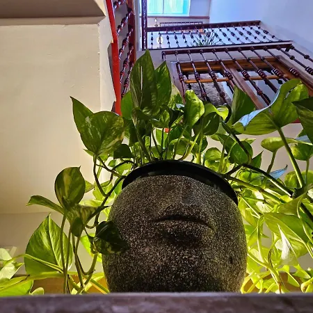 Casa Turistica Torreon De Villafames Вилафамес
